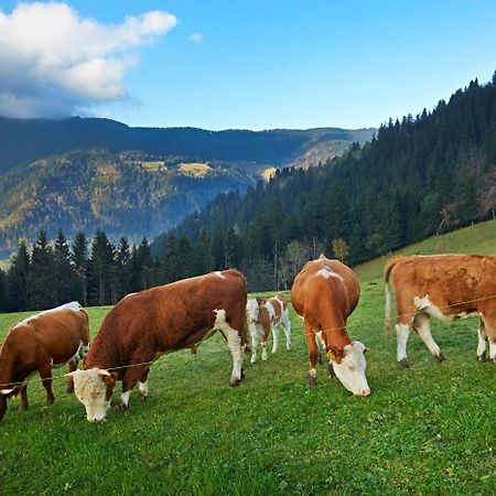Villa Tourist Farm Kladje Ljubno Esterno foto