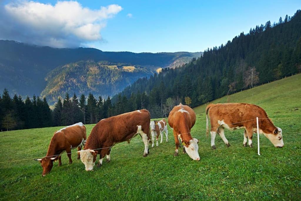 Villa Tourist Farm Kladje Ljubno Esterno foto