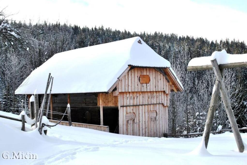 Villa Tourist Farm Kladje Ljubno Esterno foto