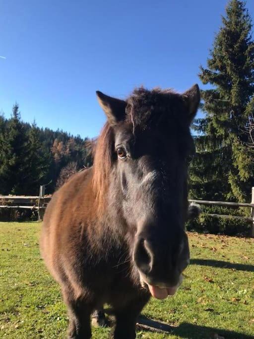 Villa Tourist Farm Kladje Ljubno Esterno foto