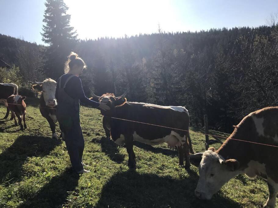 Villa Tourist Farm Kladje Ljubno Esterno foto