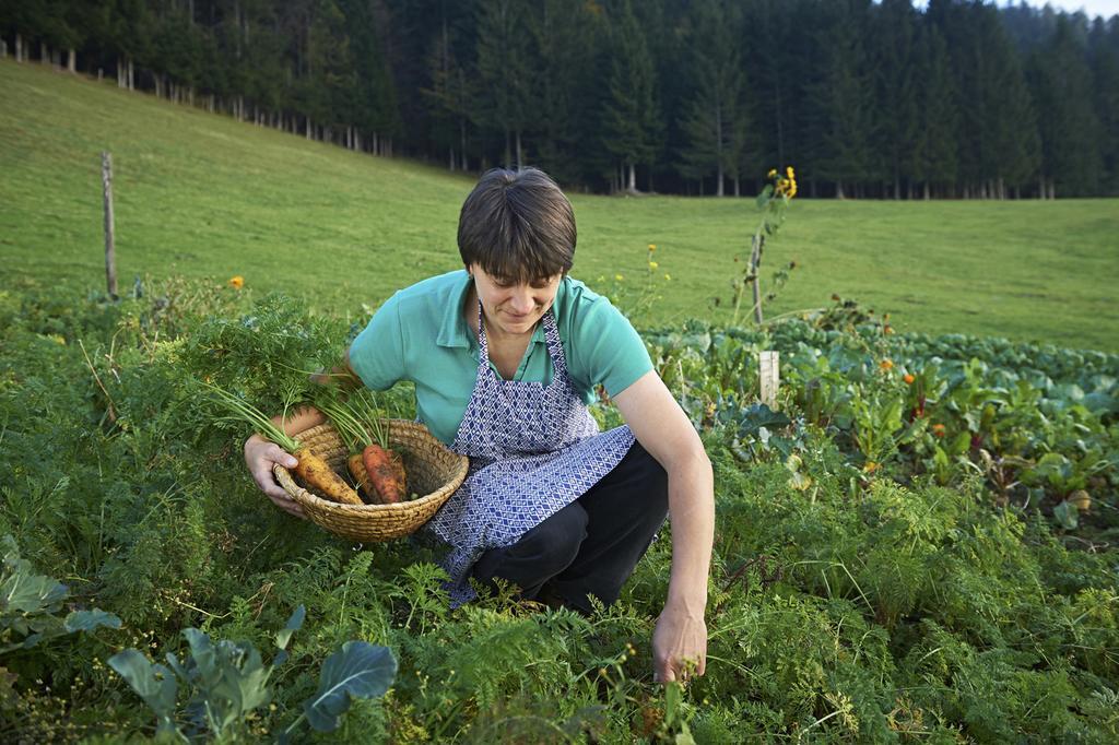 Villa Tourist Farm Kladje Ljubno Esterno foto
