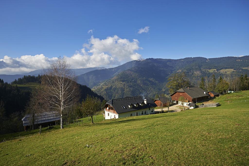 Villa Tourist Farm Kladje Ljubno Esterno foto