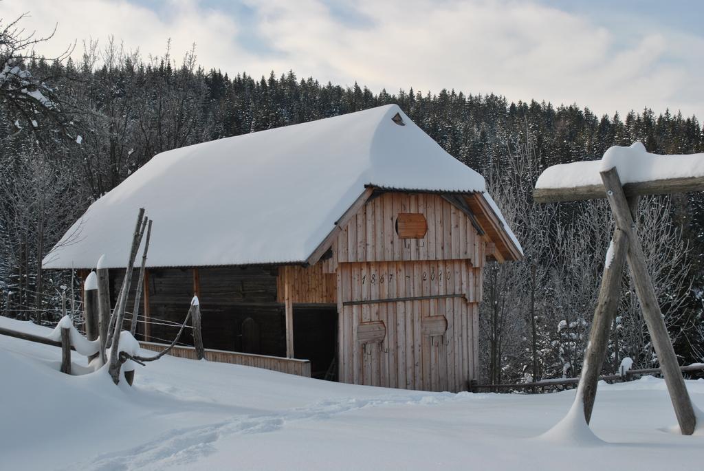 Villa Tourist Farm Kladje Ljubno Esterno foto